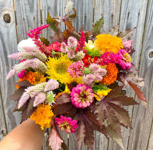 July & August Bouquet Subscription - Delivery